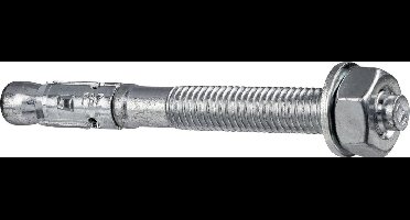Fischer ankerbout FBZ 10/10 50 st.