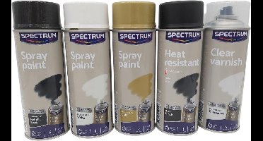 Spray paint set - verschillende kleuren spuitbussen - Spuitbus verf - Graffiti verf - Zwart/ wit/ goud/mat zwart/ transparant - Sneldrogende acrylaat lak voor ondergronden van hout, metaal, aluminium, glas, steen en kunststof - leuke set
