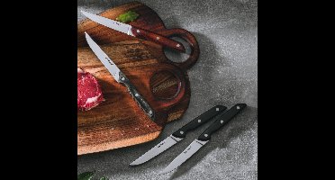 set van 4 steakmessen - steakmessen - handgrepen verschillende kleuren - cadeauverpakking - hout