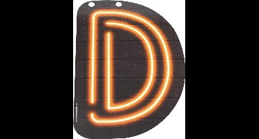 Neon Letter D 24cm