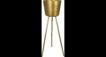 Wants&Needs Bloempot Metaal Goud 32.5 X 32.5 X 106.5