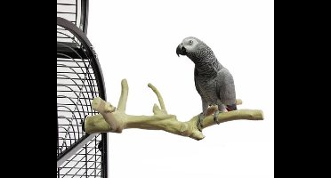 Back Zoo Nature Multi Perch Premium Medium