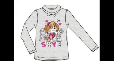 Paw Patrol longsleeve met col grijs maat 104