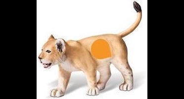 tiptoi® speelfiguur Leeuwenjong - Ravensburger - Leersysteem