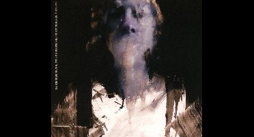 A Reintroduction: The Essence Of All That Surrounds Me