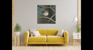 Goudhaantje | Posterprint mat | 70×70 cm | Wanddecoratie | Natuurposter | Geschikt om in te lijsten