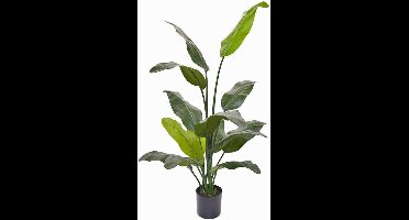 Kunstplant - Traveller Palm hoogte 130cm
