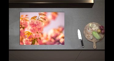 Inductieplaat Beschermer - Bloeiende Roze Bloesem Bloemen op Mooie Lentedag - 70x52 cm - 2 mm Dik - Inductie Beschermer - Bescherming Inductiekookplaat - Kookplaat Beschermer van Zwart Vinyl