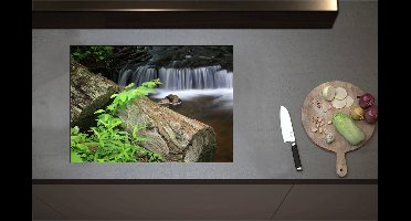 Inductieplaat Beschermer - Boomstronk langs het Meer bij Watervallen - 71x51 cm - 2 mm Dik - Inductie Beschermer - Bescherming Inductiekookplaat - Kookplaat Beschermer van Zwart Vinyl