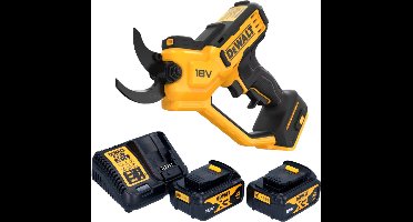 DeWalt DCMPP 568 M2 accu-takkenschaar 18 V 38 mm + 2x accu 4,0 Ah + oplader