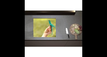 Inductieplaat Beschermer - Blauwe Origami Vogel op Hand van Mens in Groene Omgeving - 59x50 cm - 2 mm Dik - Inductie Beschermer - Bescherming Inductiekookplaat - Kookplaat Beschermer van Wit Vinyl