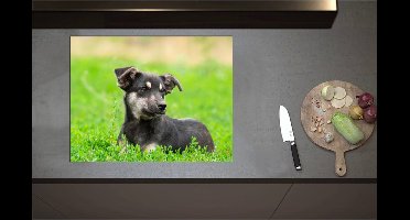 Inductieplaat Beschermer - Aandoenlijke Zwart met Bruine Puppy liggend in het Grasveld - 71x55 cm - 2 mm Dik - Inductie Beschermer - Bescherming Inductiekookplaat - Kookplaat Beschermer van Zwart Vinyl