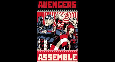 Poster Avengers - Assemble 61x91,5cm