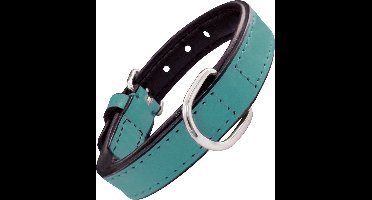 Dog collar Gloria Padded Turquoise (35 x 1,5 cm)
