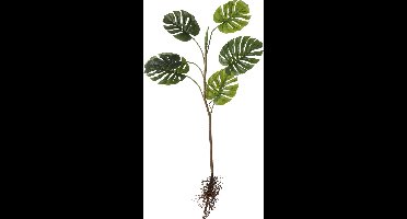 Mica Decorations Monstera Kunstplant - L26 x B30 x H124 cm - Groen