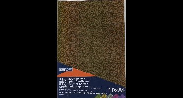 Papier: Holografisch karton (10 x A4) kleurmix