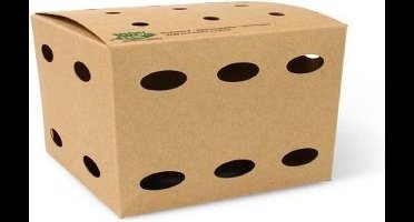 50 st. 50st. Kartonnen Frietboxen - Medium