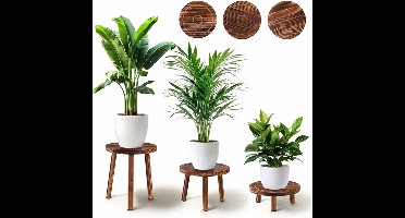 Sierra, plantenstandaard binnen of buiten