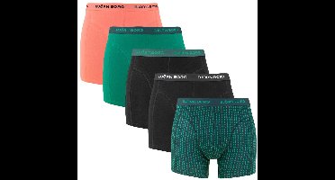 Björn Borg heren cotton stretch 5P boxers basic print multi IX