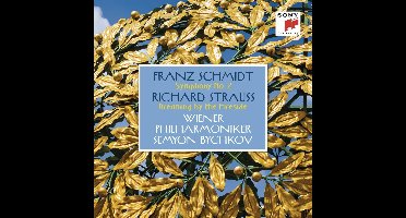 SYMPHONY NO.2/DREAMING BY THE FIRESIDE