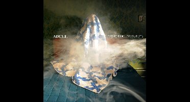 Detroit House Guests (LP)