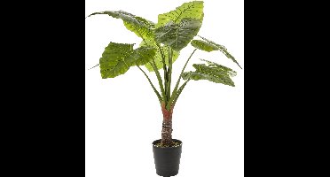 Mica Decorations Taro Kunstplant - H120 x Ø110 cm - Groen