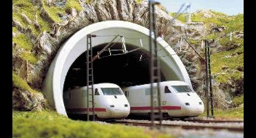 Busch - Ice-tunnelport 2gl. N (Bu8195)