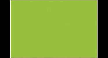 Fotokarton Folia lentegroen - A4 300gr pak 50 vel