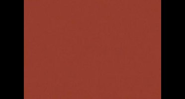 Folia Fotokarton rood bruin 50X70-300G