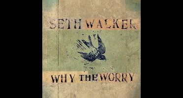 Why the Worry