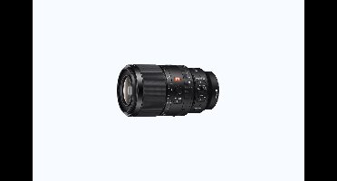 Sony SEL FE 100mm f/2.8 Macro GM OSS