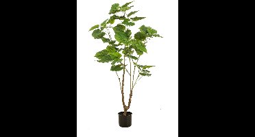 Fleurdirect Kunstplant Ficus Umbellata - Kunststof - Groen - 70 x 125 x 70 cm (BxHxD)