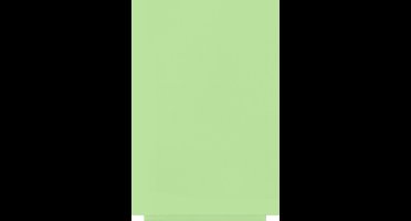 Rocada whiteboard - Skincolour - 75x115cm - groen gelakt - RO-6420R-230
