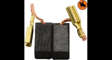Koolborstelset voor DeWalt DW509A - 6,3x6,3x13mm