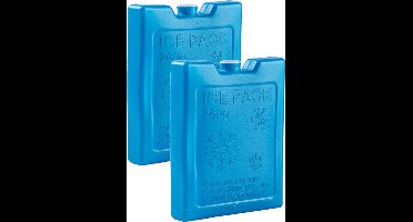 2x stuks 260 grams koelelementen - 13 x 10.5 x 2 cm - kobalt blauw - kunststof - met sneeuwvlokken print