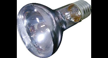 Flamingo Daglichtspot Daylight Beam - 75 watt