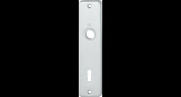Renovatie Schild 378 185X42 Sl72 F1