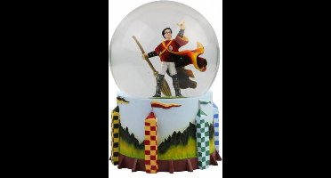 Harry Potter Quidditch Waterbal 18 cm