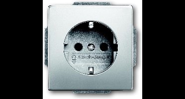 ABB Busch-Jaeger Pure Roestvrij Staal Wandstopcontact (WCD Schakelmateriaal) - 2CKA002013A5276 - E2KVF