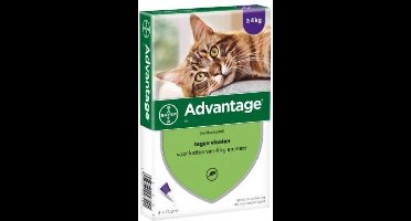 Bayer Advantage Kat 4 Pipetten