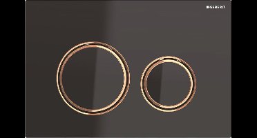 Geberit Sigma21 bedieningplaat, 2-toets spoeling frontbediening voor toilet 24.6x16.4cm rood goud / zwart