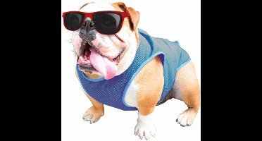 Nobby Cool Ice Vest - Maat M (28cm)