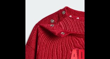 adidas Sportswear ADIDAS MARVEL SPIDER-MAN JOGGINGPAK - Kinderen - Bordeaux