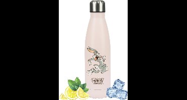 Stainless Steel Thermos Flask for Hot and Cold Drinks 500ml - Ideal for Kids and Adults - Water Bottle for School, Fitness, Outdoor