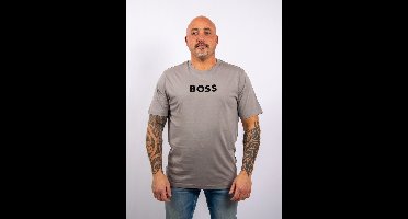 BOSS TS_Logo