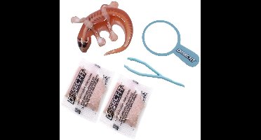 DISSECT-IT Ontleed een Salamander met Vergrootglas