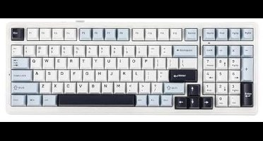 EPOMAKER xAULA F99 Wireless Mechanical Keyboard,Hot Swappable Gasket Customized Gaming Keyboard with Five Layers Filling, Bluetooth/2.4GHz/USB-C,RGB, 8000mAh Battery (Blue, Greywood Switch)