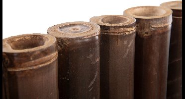 TuinChamp Bamboescherm zwart 60-90mm 200x90cm