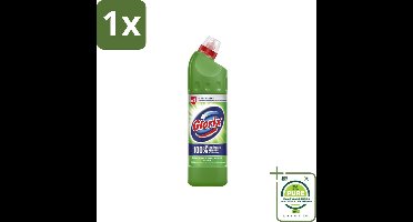 1 x Glorix - Bleek - Dennen - Bescherming tegen Kalkaanslag - 750 ml - Toilet Schoonmaken - Bleekmiddel - Kalkaanslag Verwijderen - Dennengeur - Hygiënische Reiniging