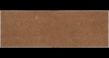 vidaXL - Matrasonderlegger - 70x200 - cm - kokosnootvezel